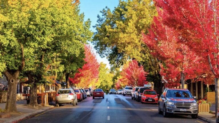 Thursday Speed Cameras: Adelaide Hills & Northern Suburbs